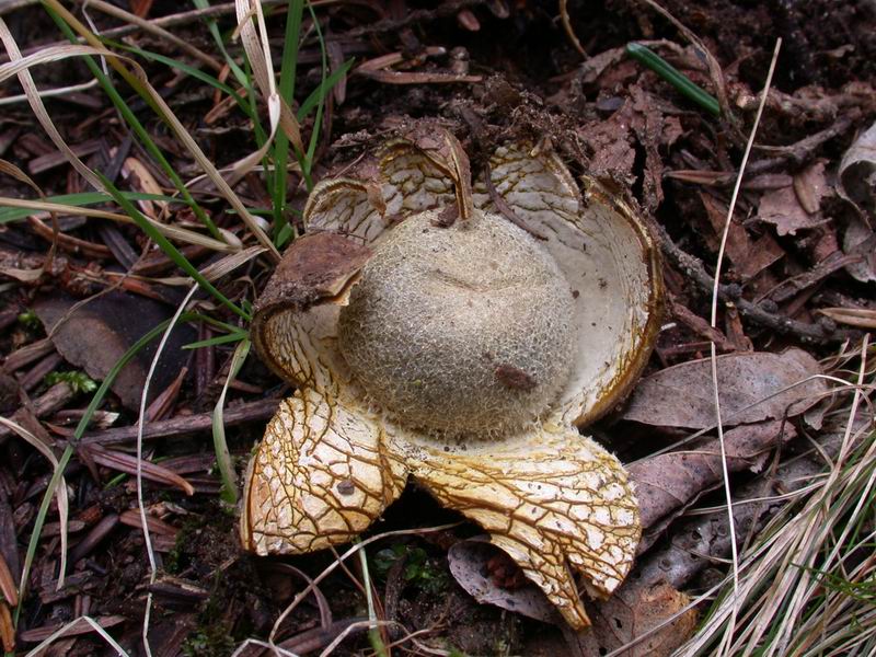 Prima escursione in montagna